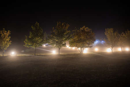 Trees and street lamps on a quiet foggy night. Foggy misty evening lamps in empty road at forest.の写真素材