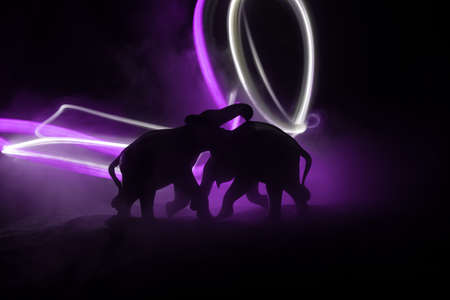 Elephant fighing silhouettes on fire background or Two elephant bulls interact and communicate while play fighting. Creative table decoration with colorful backlight with fog. Selective focusの写真素材