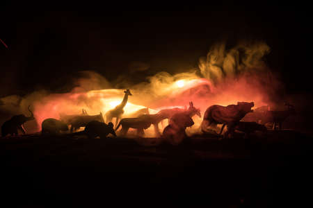 A group of animals are grouped together at foggy night with burning colorful background. Animals Running Escaping to Save Their Lives from fire. Selective focus.の写真素材