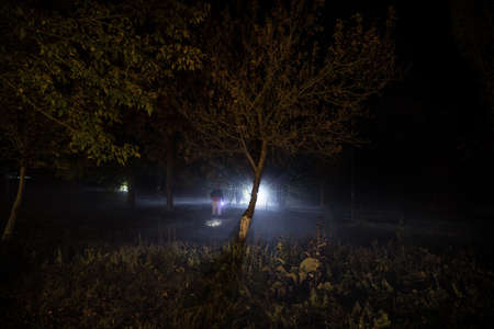 Silhouette of person standing in the dark forest with light. Horror halloween concept. strange silhouette in a dark spooky forest at nightの写真素材