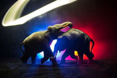 Elephant fighing silhouettes on fire background or Two elephant bulls interact and communicate while...
