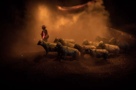 Sheep in the farm. Group of sheep silhouettes at the field. Decorative toy figures at night....