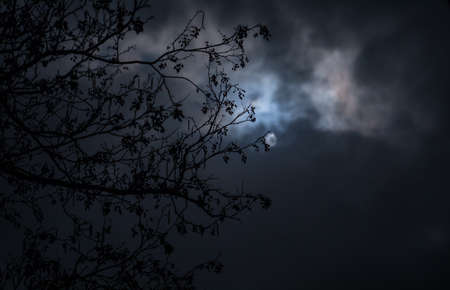 Full moon over quiet village at night. Beautiful night landscape of mountain village under the...