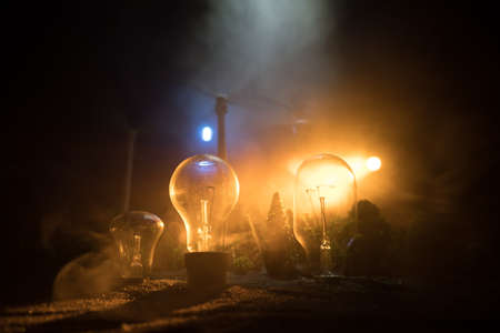 Electricity power in nature or clean energy concept. Wind Turbine producing alternative energy at night. Glowing bulb powered by alternative energy. Selective focusの写真素材