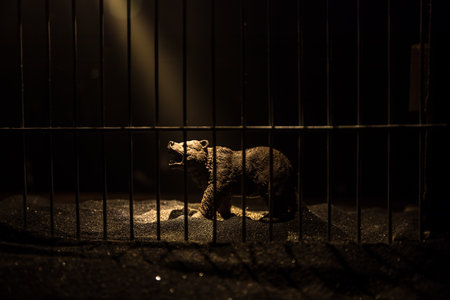 Silhouette of a Bear miniature standing in a zoo cage dreams of freedom. Creative decoration with...