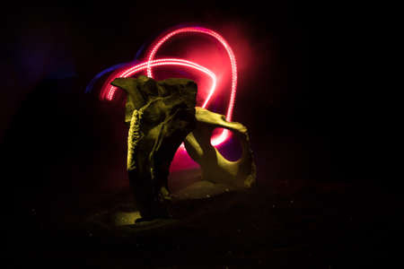 Abstract surreal concept. Giant animal bone in dark. Night with fog and light on background. Selective focusの写真素材