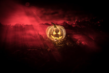 halloween jack-o-lantern on autumn leaves. Scary Halloween Pumpkin looking through the smoke. Glowing, smoking monster pumpkin from depths of hellの写真素材