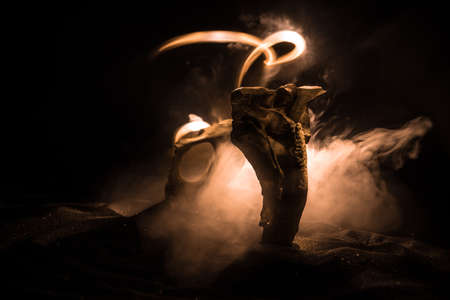 Abstract surreal concept. Giant animal bone in dark. Night with fog and light on background. Selective focusの写真素材