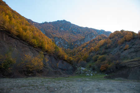 Amazing view with colorful autumn forest. Beautiful trees in fall season. Azerbaijan Nature