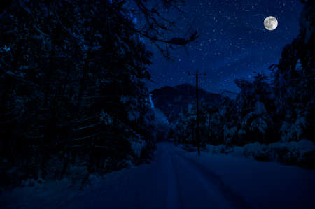 Mountain Road through the snowy forest on a full moon night. Scenic night winter landscape of dark blue sky with moon and stars. Azerbaijanの写真素材
