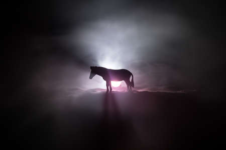 Silhouette of a horse miniature standing at foggy night. Creative table decoration with colorful backlight with fog. Selective focusの写真素材