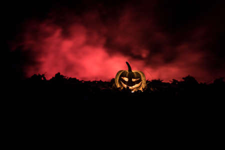 halloween jack-o-lantern on autumn leaves. Scary Halloween Pumpkin looking through the smoke. Glowing, smoking monster pumpkin from depths of hellの写真素材
