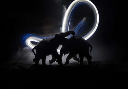 Elephant fighing silhouettes on fire background or Two elephant bulls interact and communicate while play fighting. Creative table decoration with colorful backlight with fog. Selective focusの写真素材