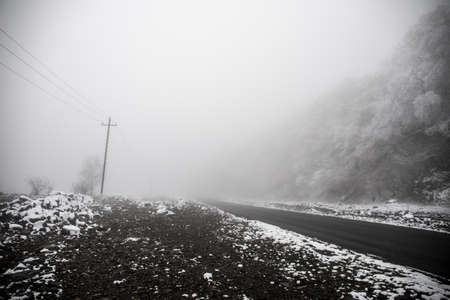 Winter trees in mountains covered with fresh snow. Beautiful foggy landscape with branches of trees covered in snow. Mountain road in Caucasus. Azerbaijanの写真素材