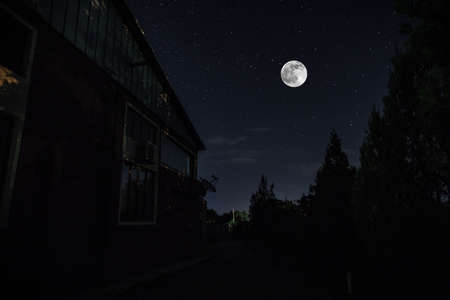 Old house with a Ghost in the forest at night or Abandoned Haunted Horror House in fog. Old mystic building in dead tree forest. Trees at night with moon. Surreal lights. Horror halloween conceptの写真素材