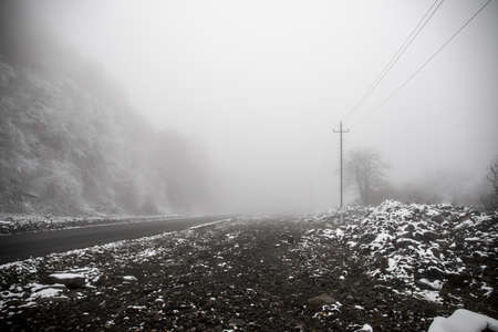 Winter trees in mountains covered with fresh snow. Beautiful foggy landscape with branches of trees...
