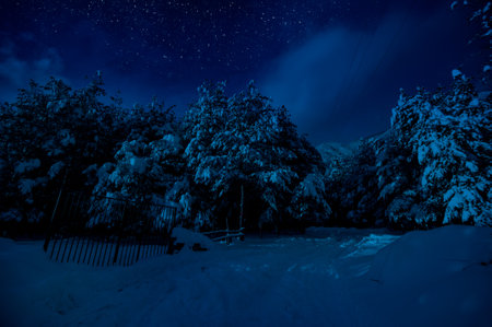 Mountain Road through the snowy forest on a full moon night. Scenic night winter landscape of dark blue sky with moon and stars. Azerbaijanの写真素材