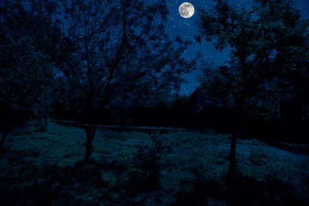 Mountain Road through the snowy forest on a full moon night. Scenic night winter landscape of dark blue sky with moon and stars. Azerbaijanの写真素材