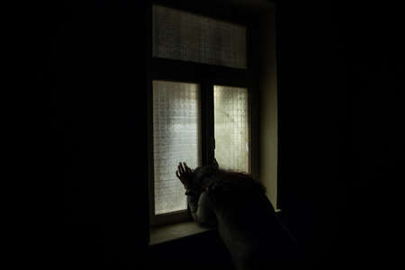 Horror silhouette inside abandoned creepy room with window at night. horror scene. Halloween...
