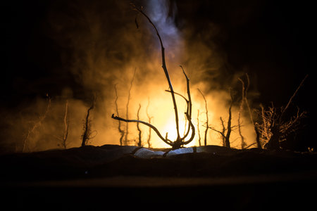 Spooky dark landscape showing silhouettes of trees in the swamp on misty night. Night mysterious forest in fire and dramatic cloudy night skyの写真素材