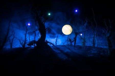 Spooky dark landscape showing silhouettes of trees in the swamp on misty night. Night mysterious forest in fire and dramatic cloudy night skyの写真素材