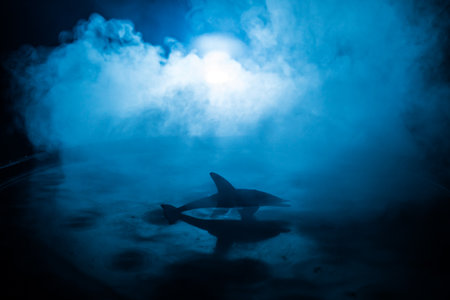 abstract concept. Fish (shark) silhouette jumping on water at night. Water splash on dark foggy background. selective focus.の写真素材