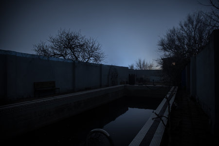 Abandoned swimming pool at night. An old swimming pool in the garden. long shutter shotの写真素材