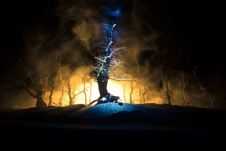 Spooky dark landscape showing silhouettes of trees in the swamp on misty night. Night mysterious forest in fire and dramatic cloudy night skyの写真素材