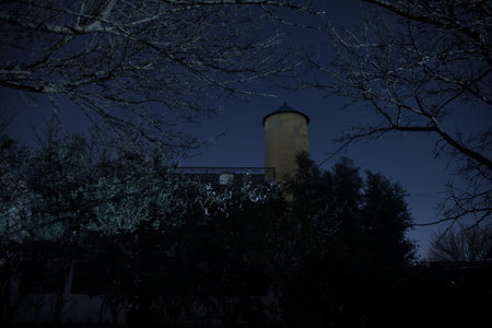 Old house with a Ghost in the forest at night or Abandoned Haunted Horror House in fog. Old mystic...