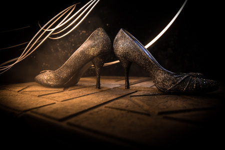 art decoration. Silhouette of a high heel women's shoes at dark. Women power or women domination concept. selective focusの写真素材