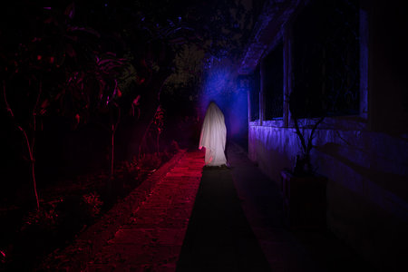 Ghost on the scary road in the paranormal world. horror dream. Strange forest in a fog. mystical atmosphere. darkwood. mysterious road. Gothic witch. background wallpaper. Gloomy times.の写真素材