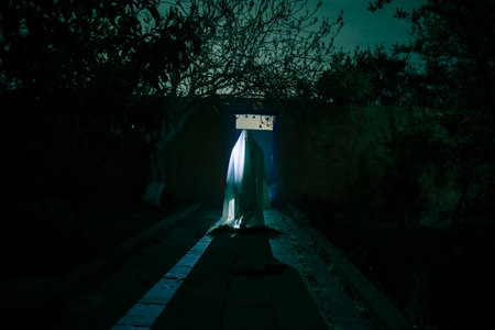 Ghost on the scary road in the paranormal world. horror dream. Strange forest in a fog. mystical atmosphere. darkwood. mysterious road. Gothic witch. background wallpaper. Gloomy times.の写真素材