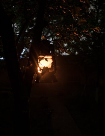 Beautiful colorful illuminated lamp in the garden in misty night. Retro style lantern at night outdoor. selective focusの写真素材