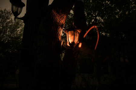 Beautiful colorful illuminated lamp in the garden in misty night. Retro style lantern at night outdoor. selective focusの写真素材