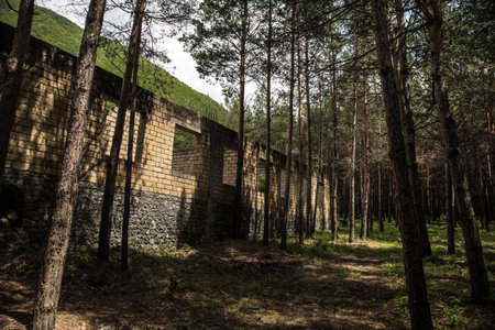 Old abandoned building in forest, Facade ruins of industrial factory. Spring long pine forest.の写真素材
