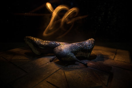 art decoration. Silhouette of a high heel women's shoes at dark. Women power or women domination concept. selective focusの写真素材
