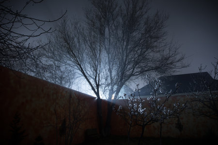Old house with a Ghost in the forest at night or Abandoned Haunted Horror House in fog. Old mystic building in dead tree forest. Trees at night with moon. Surreal lights. Horror Halloween conceptの写真素材