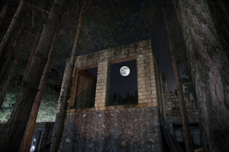 Old abandoned building in forest, Facade ruins of industrial factory. Spring long pine forest at nightの写真素材