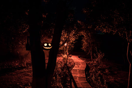 Pumpkin Burning In Forest at night. Scary Jack o Lantern smiling and glowing pumpkin with dark toned foggy background. selective focusの写真素材