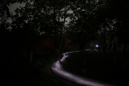 mysterious pathway. Footpath in the dark, foggy, autumnal, mysterious forest. long exposure shotの写真素材