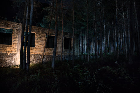 Old abandoned building in forest, Facade ruins of industrial factory. Spring long pine forest at nightの写真素材