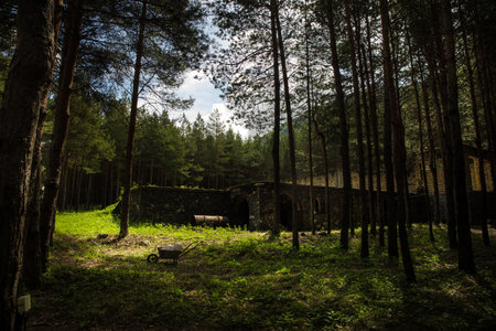 Old abandoned building in forest, Facade ruins of industrial factory. Spring long pine forest.の写真素材