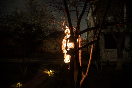 Beautiful colorful illuminated lamp in the garden in misty night. Retro style lantern at night outdoor. selective focusの写真素材