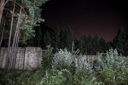 Old abandoned building in forest, Facade ruins of industrial factory. Spring long pine forest at nightの写真素材