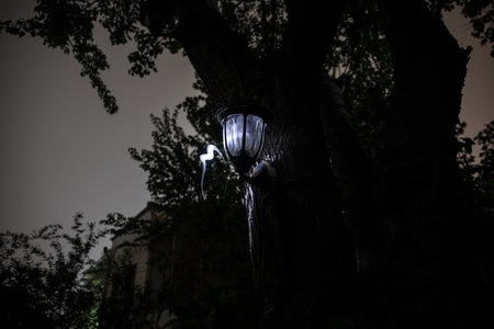 Beautiful colorful illuminated lamp in the garden in misty night. Retro style lantern at night outdoor. selective focusの写真素材