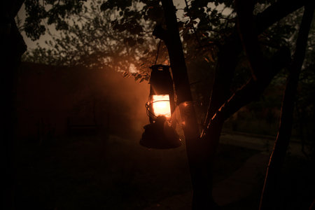 Beautiful colorful illuminated lamp in the garden in misty night. Retro style lantern at night outdoor. selective focusの写真素材