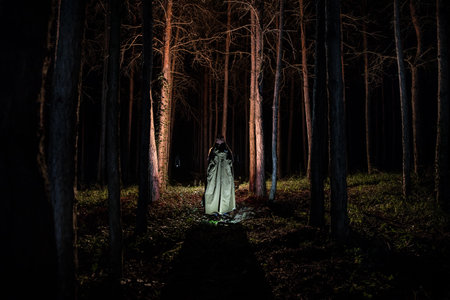 Alone girl in the forest at night. Horror Halloween concept. Silhouette of woman in dark pine forest. long exposure shot.の写真素材