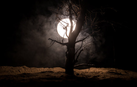 Silhouette of scary Halloween tree on dark foggy toned background with moon on back side. Scary...