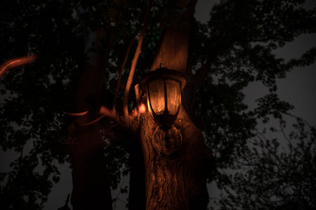 Beautiful colorful illuminated lamp in the garden in misty night. Retro style lantern at night outdoor. Selective focusの写真素材