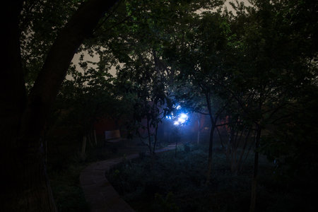 Mysterious pathway. Footpath in the dark, foggy, autumnal, mysterious forest. Long exposure shot